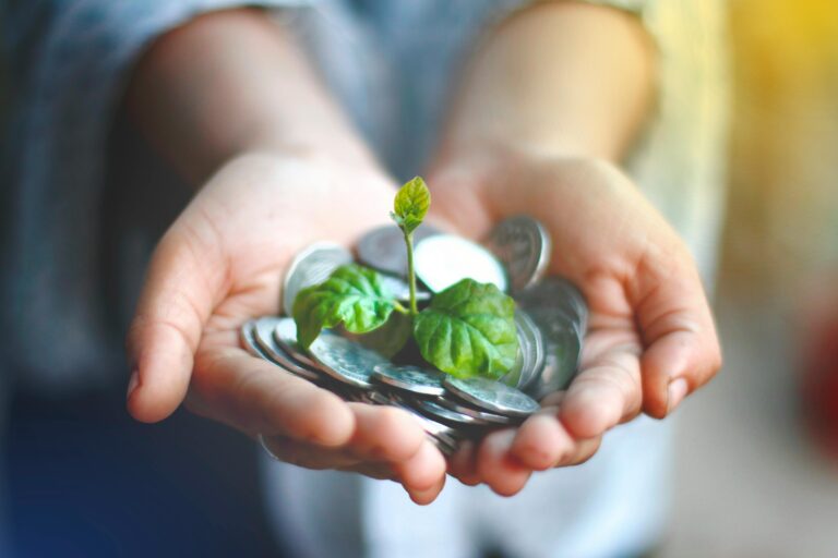Guaranteed Longevity: How Sustainable Financing Transforms Volatile Businesses into Industry Leaders